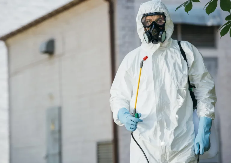 Technicien paris sud nuisibles