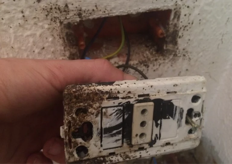 Infestation de punaises de lit prise de courant à Paris 13e